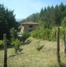 foto 4 - Casa di campagna a Pratovecchio a Arezzo in Vendita