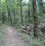foto 1 - Appezzamento di terreno boschivo a Cant a Como in Vendita