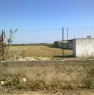 foto 2 - Terreno periferia di Sava a Taranto in Vendita