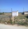 foto 1 - Terreno periferia di Sava a Taranto in Vendita