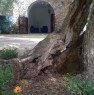 foto 15 - Tricase villa a Lecce in Affitto