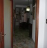 foto 1 - Appartamento zona Murialdo a Viterbo in Affitto