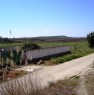 foto 10 - Zona Canne della Battaglia casa di campagna a Barletta-Andria-Trani in Vendita
