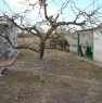 foto 8 - Zona Canne della Battaglia casa di campagna a Barletta-Andria-Trani in Vendita