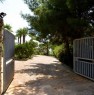 foto 6 - Caratteristico trullo per vacanza a Pescoluse a Lecce in Affitto