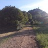 foto 3 - Terreno agricolo a Castell'Azzara a Grosseto in Vendita