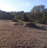 foto 1 - Terreno agricolo a Castell'Azzara a Grosseto in Vendita