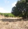 foto 0 - Terreno agricolo a Teulada a Cagliari in Vendita