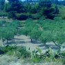 foto 3 - Ribera localit Seccagrande terreno a Agrigento in Vendita