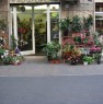 foto 14 - Appio Latino negozio di fiori e piante a Roma in Vendita