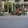 foto 13 - Appio Latino negozio di fiori e piante a Roma in Vendita