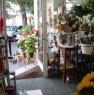 foto 12 - Appio Latino negozio di fiori e piante a Roma in Vendita
