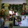 foto 10 - Appio Latino negozio di fiori e piante a Roma in Vendita