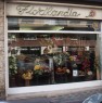 foto 9 - Appio Latino negozio di fiori e piante a Roma in Vendita