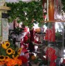 foto 8 - Appio Latino negozio di fiori e piante a Roma in Vendita