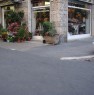foto 7 - Appio Latino negozio di fiori e piante a Roma in Vendita