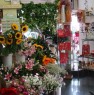 foto 5 - Appio Latino negozio di fiori e piante a Roma in Vendita
