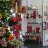 foto 3 - Appio Latino negozio di fiori e piante a Roma in Vendita