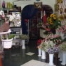 foto 2 - Appio Latino negozio di fiori e piante a Roma in Vendita