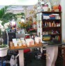 foto 1 - Appio Latino negozio di fiori e piante a Roma in Vendita