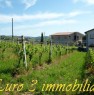 foto 1 - Offida Ascoli Piceno azienda agricola vitivinicola a Ascoli Piceno in Vendita
