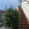 foto 16 - Scalea case indipendenti e ammobiliate a Cosenza in Vendita