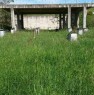 foto 1 - Melfi terreno agricolo edificabile a Potenza in Vendita