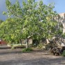 foto 0 - Nicolosi terreno con alberi da frutto a Catania in Vendita