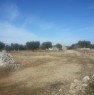 foto 2 - Morciano di Leuca terreno con trullo a Lecce in Vendita