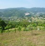 foto 1 - Impresa agricola con terreno Cornedo Vicentino a Vicenza in Vendita