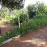 foto 8 - In agro di Sovereto villetta di campagna a Bari in Vendita