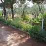 foto 7 - In agro di Sovereto villetta di campagna a Bari in Vendita