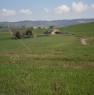 foto 8 - Azienda agricola S.Placido in Castiglione d'Orcia a Siena in Vendita