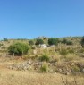 foto 4 - Trabia contrada Denigagi terreno agricolo a Palermo in Vendita