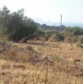 foto 0 - Trabia contrada Denigagi terreno agricolo a Palermo in Vendita