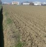 foto 2 - Terreno vicino zona industriale di Roncalceci a Ravenna in Vendita