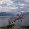 foto 0 - Manerba Lago di Garda villa a Brescia in Vendita