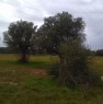 foto 1 - Galatone terreno agricolo a Lecce in Vendita