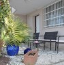 foto 4 - Igea Marina appartamento con giardinetto a Rimini in Affitto