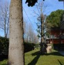 foto 3 - Igea Marina appartamento con giardinetto a Rimini in Affitto