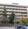 foto 0 - Modena adiacenza largo Garibaldi appartamento a Modena in Vendita