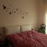 foto 3 - Casamassima appartamento trivani a Bari in Vendita
