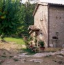 foto 3 - Fabbricato rurale a Rosara a Ascoli Piceno in Vendita