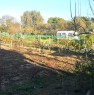 foto 0 - La Padula terreno agricolo a Livorno in Vendita