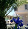 foto 5 - Bisceglie villa in residence a Barletta-Andria-Trani in Vendita