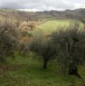 foto 1 - Sant'Angelo in Pontano terreno agricolo a Macerata in Vendita