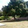 foto 4 - Telti villa con giardino a Olbia-Tempio in Vendita