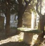 foto 10 - Spicchiaiola villa di fine ottocento a Pisa in Vendita