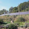 foto 5 - Nocera Umbra podere con terreno e fotovoltaico a Perugia in Vendita