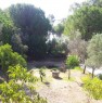 foto 3 - Simeri Crichi ville con giardino a Catanzaro in Vendita